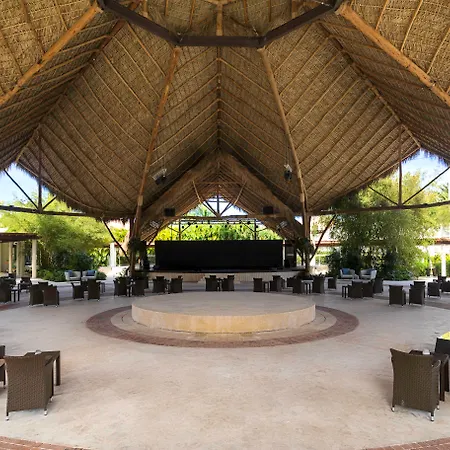 Dreams Royal Beach Punta Cana (Adults Only)-2